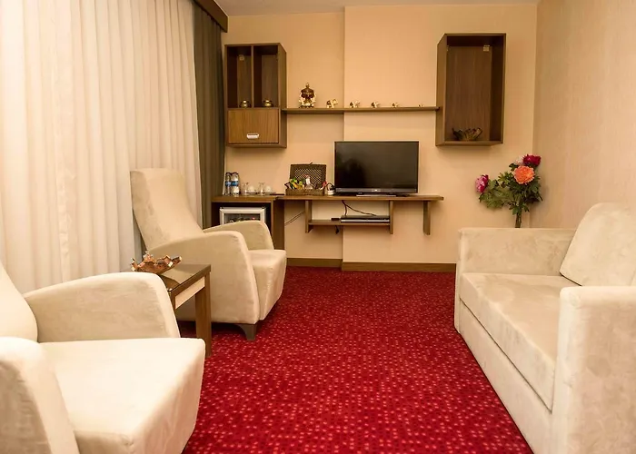 酒店 Ozgobek Ronesans De Luxe 4*