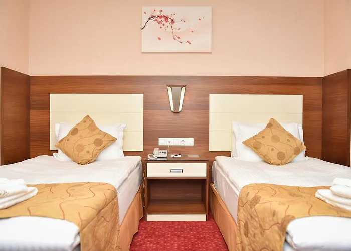 Ozgobek Ronesans De Luxe Hotel 4*